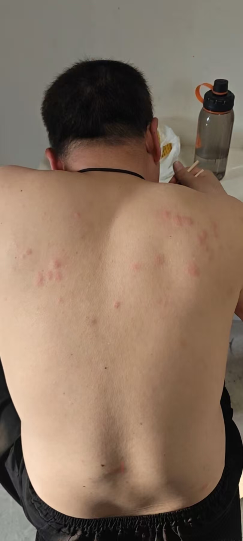 保定市康卫有害生物防制服务有限公司|保定康卫教您有效防治臭虫封面图