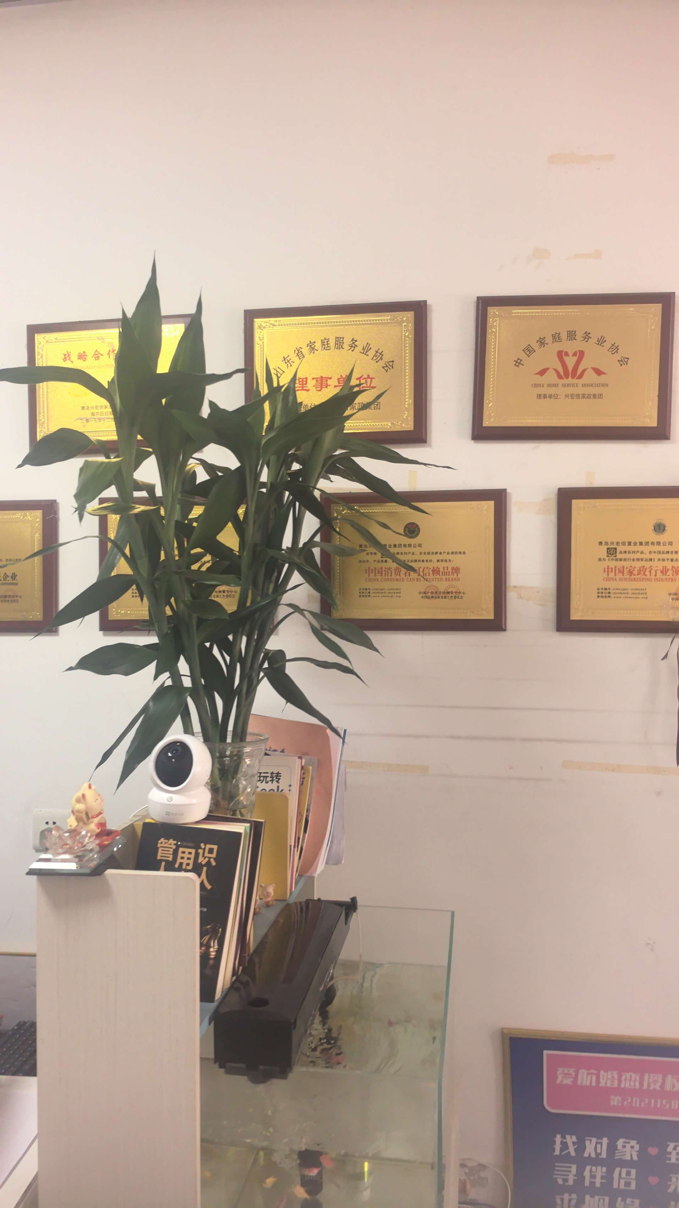 鞍山安乔家政加盟店 企业证书 2